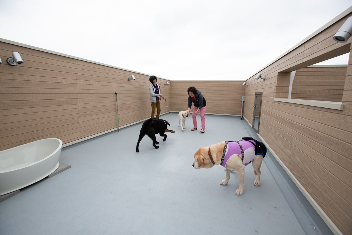 【愛犬家住宅事例】スロープのある愛犬家住宅