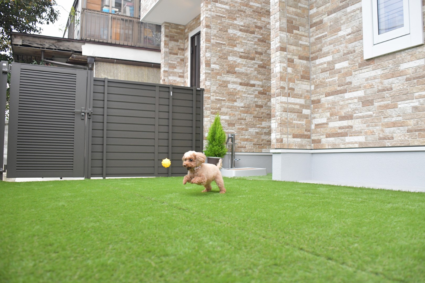 【愛犬家住宅事例】ドッグランがあるのにコンパクトな愛犬家の家